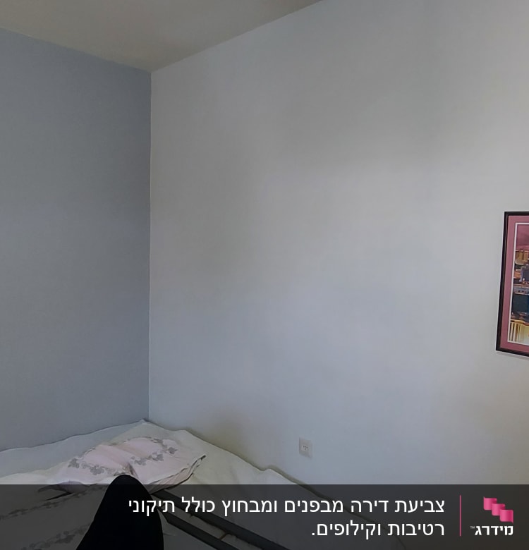 קיר צבוע בגוון כחול בהיר עם תמונה תלויה
